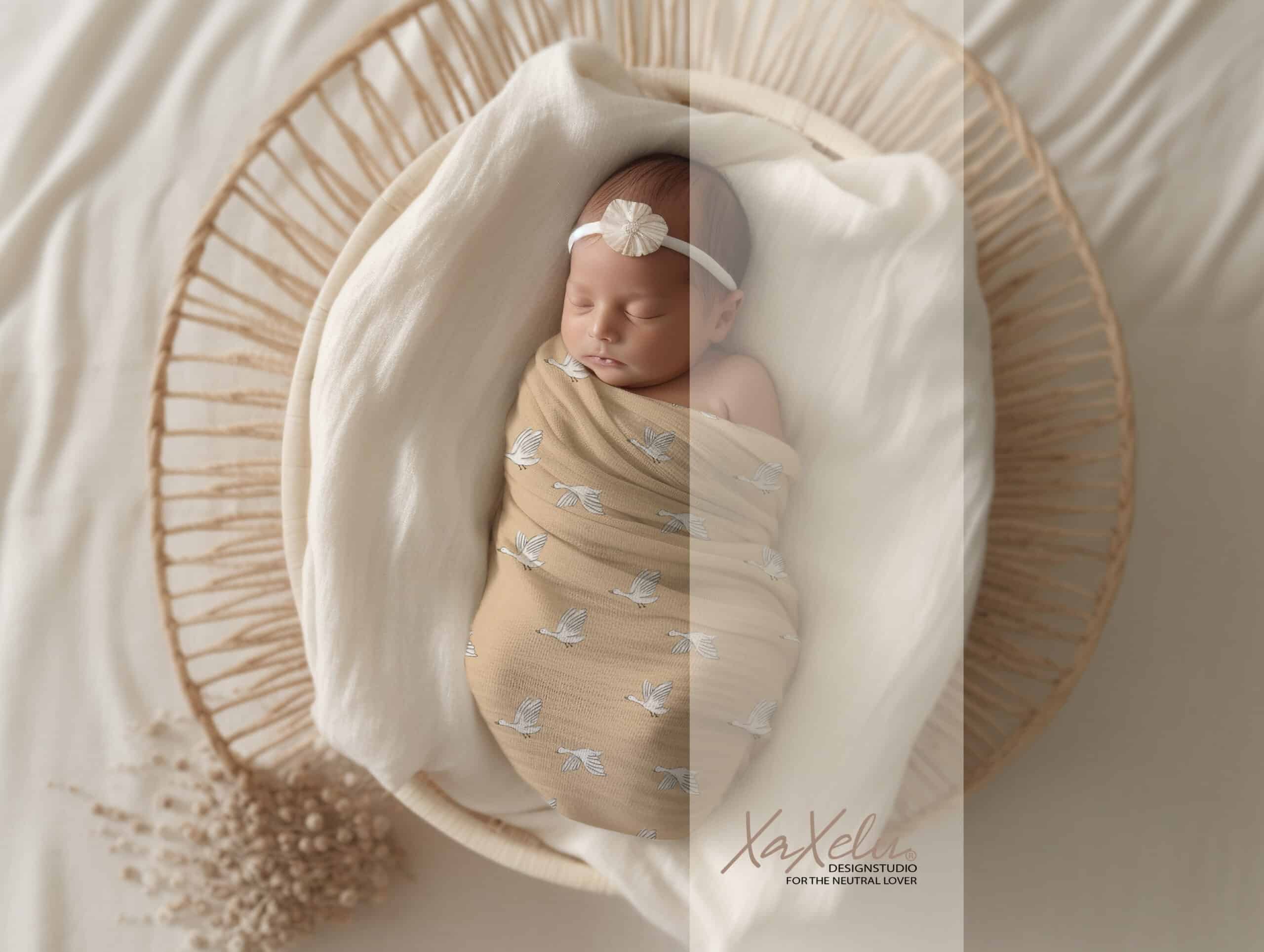 Wildgans Dörthe Nahtlosdesign – Bild 9